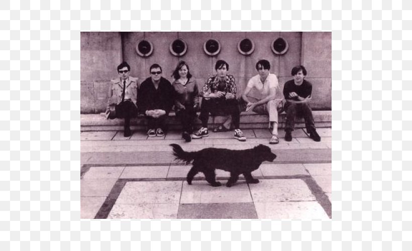 Pulp Musical Ensemble 1990s, PNG, 500x500px, Pulp, Black And White, Carnivoran, Dog, Dog Like Mammal Download Free