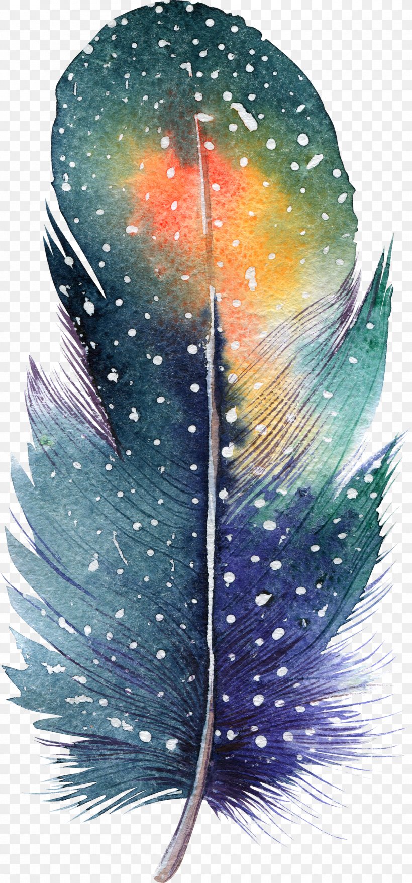Feather Watercolor Painting Drawing Illustration, PNG, 1300x2786px, Feather, Art, Bohochic, Drawing, Organism Download Free