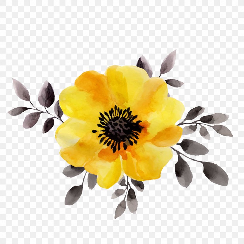Flower Yellow Watercolor Painting Stock Illustration, PNG, 1024x1024px, Watercolour Flowers, Chrysanths, Cut Flowers, Daisy Family, Drawing Download Free