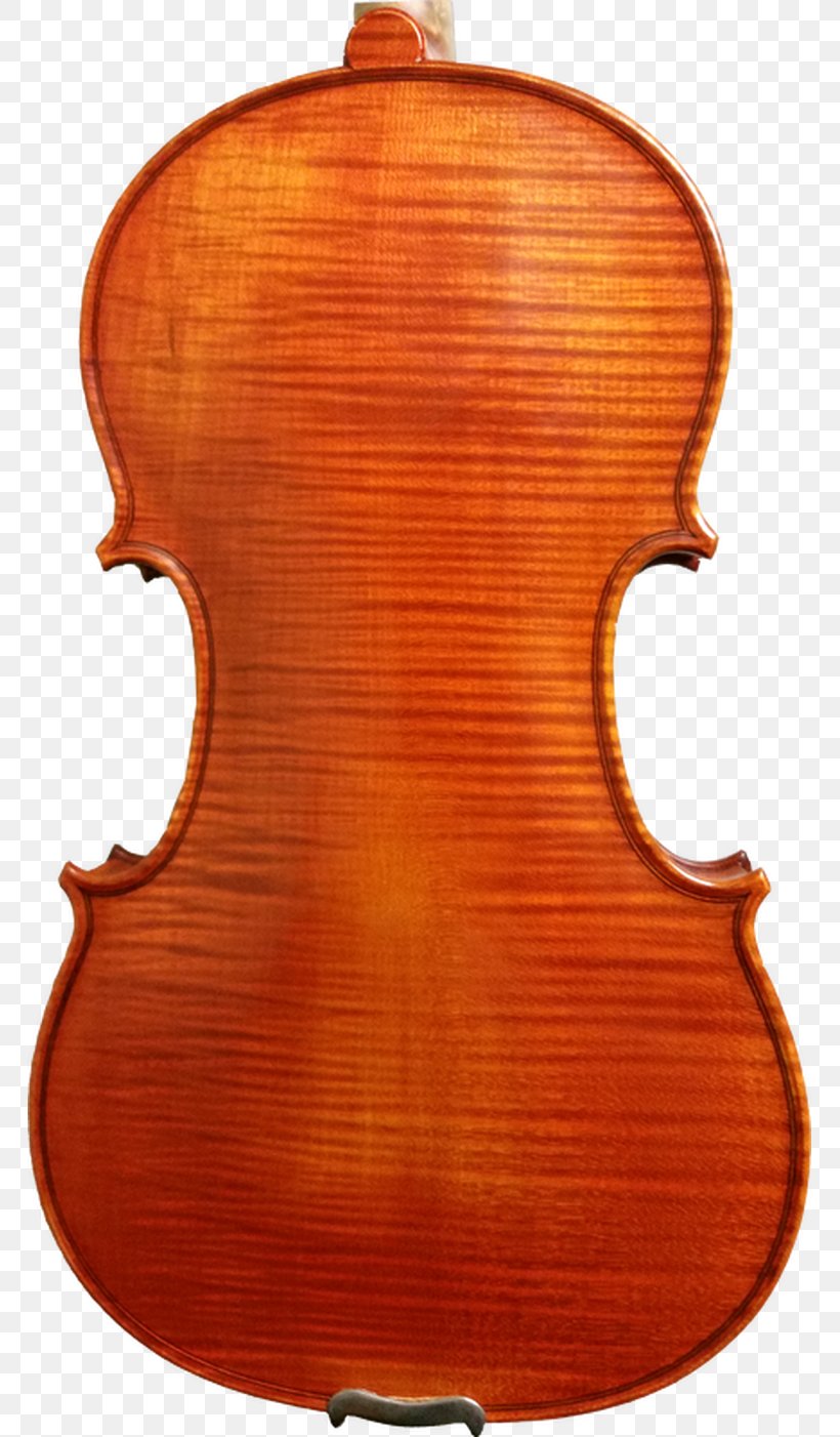 Violin Family Musical Instruments Cello Viola, PNG, 765x1402px, Violin, Acoustic Electric Guitar, Antonio Stradivari, Bass Violin, Bow Download Free