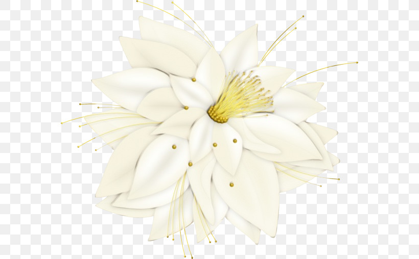 Floral Design, PNG, 582x508px, Watercolor, Biology, Cut Flowers, Flora, Floral Design Download Free