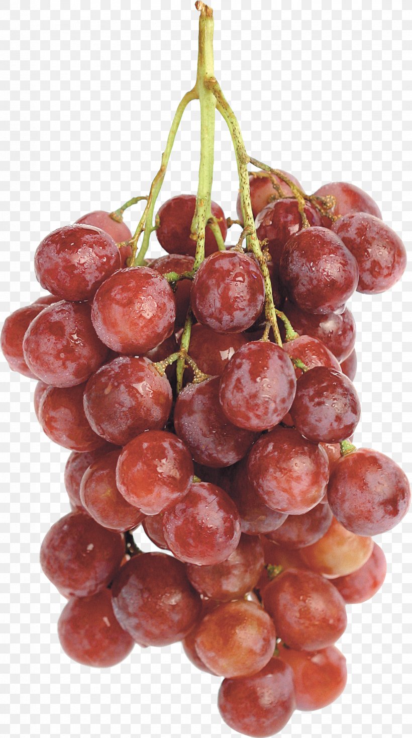 Grape Wine, PNG, 1441x2581px, Grape, Food, Fruit, Frutti Di Bosco, Grape Seed Extract Download Free