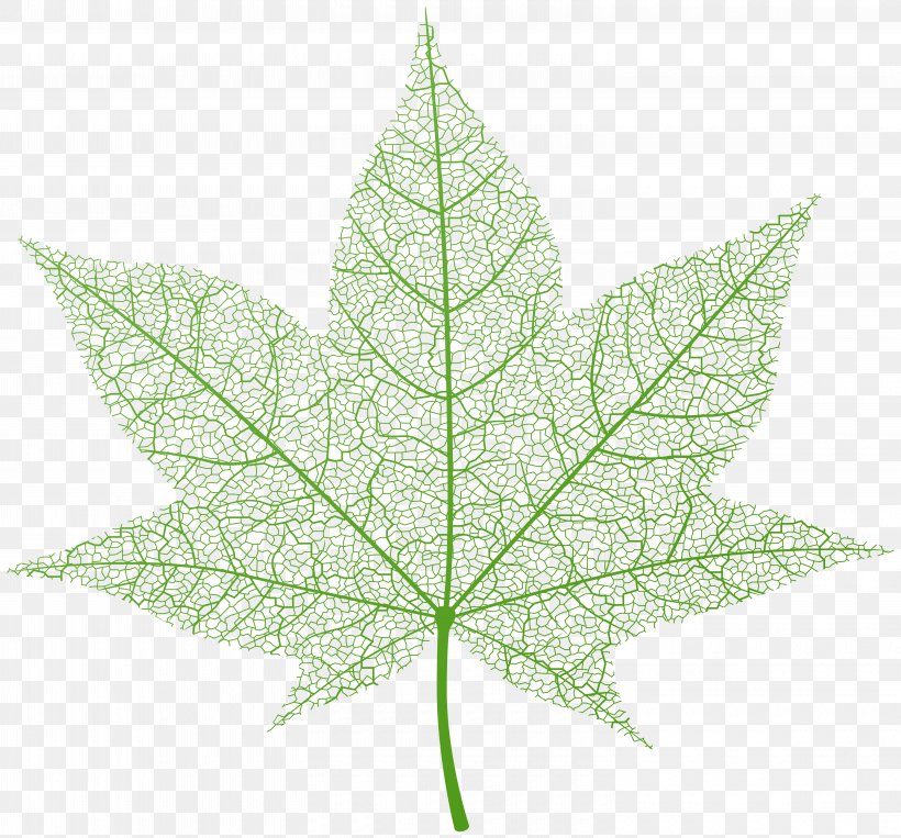 Leaf Maple, PNG, 6000x5588px, Lossless Compression, Data Compression, Flac, Image File Formats, Leaf Download Free