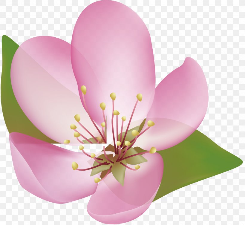 Petal Cherry Blossom, PNG, 3320x3052px, Petal, Blossom, Cherry, Cherry Blossom, Drawing Download Free