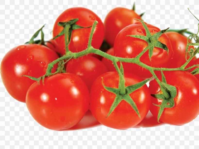 Tomato Vegetable Potato Food Fruit, PNG, 1024x768px, Tomato, Berry, Bush Tomato, Canned Tomato, Cherry Download Free