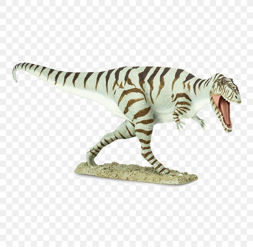 Tyrannosaurus Giganotosaurus Spinosaurus Allosaurus Prehistoric World, PNG, 800x800px, Tyrannosaurus, Allosaurus, Animal, Animal Figure, Carcharodontosauridae Download Free