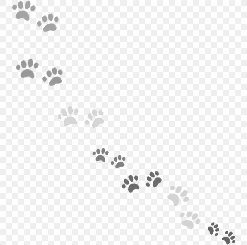 Cat Umbrella Stand Paw Shiba Inu, PNG, 744x813px, Cat, Area, Black, Black And White, Body Jewellery Download Free
