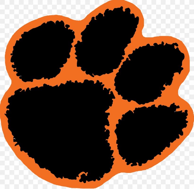 Clemson University Clemson Tigers Football Auburn Tigers Football American Football, PNG, 1001x977px, Clemson University, American Football, Auburn Tigers, Auburn Tigers Football, Clemson Tigers Download Free