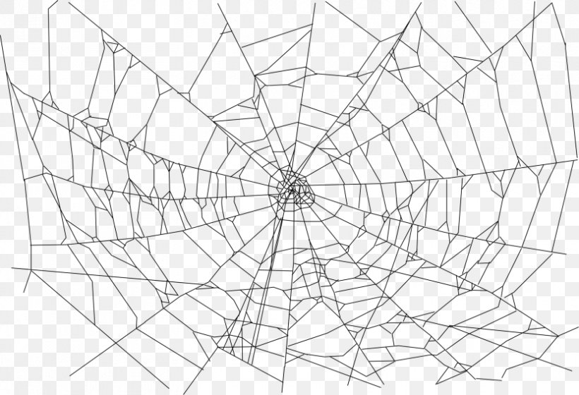 Spider Web Clip Art, PNG, 830x567px, Spider, Area, Artwork, Black And White, Branch Download Free