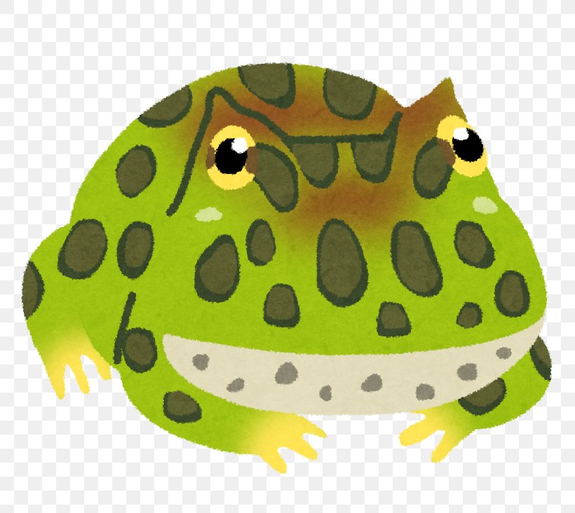 True Frog Argentine Horned Frog いらすとや, PNG, 800x732px, True Frog, Amphibian, Animal, Argentine Horned Frog, Character Download Free