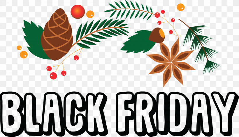 Black Friday Shopping, PNG, 2999x1729px, Black Friday, Biology, Flower, Fruit, Leaf Download Free