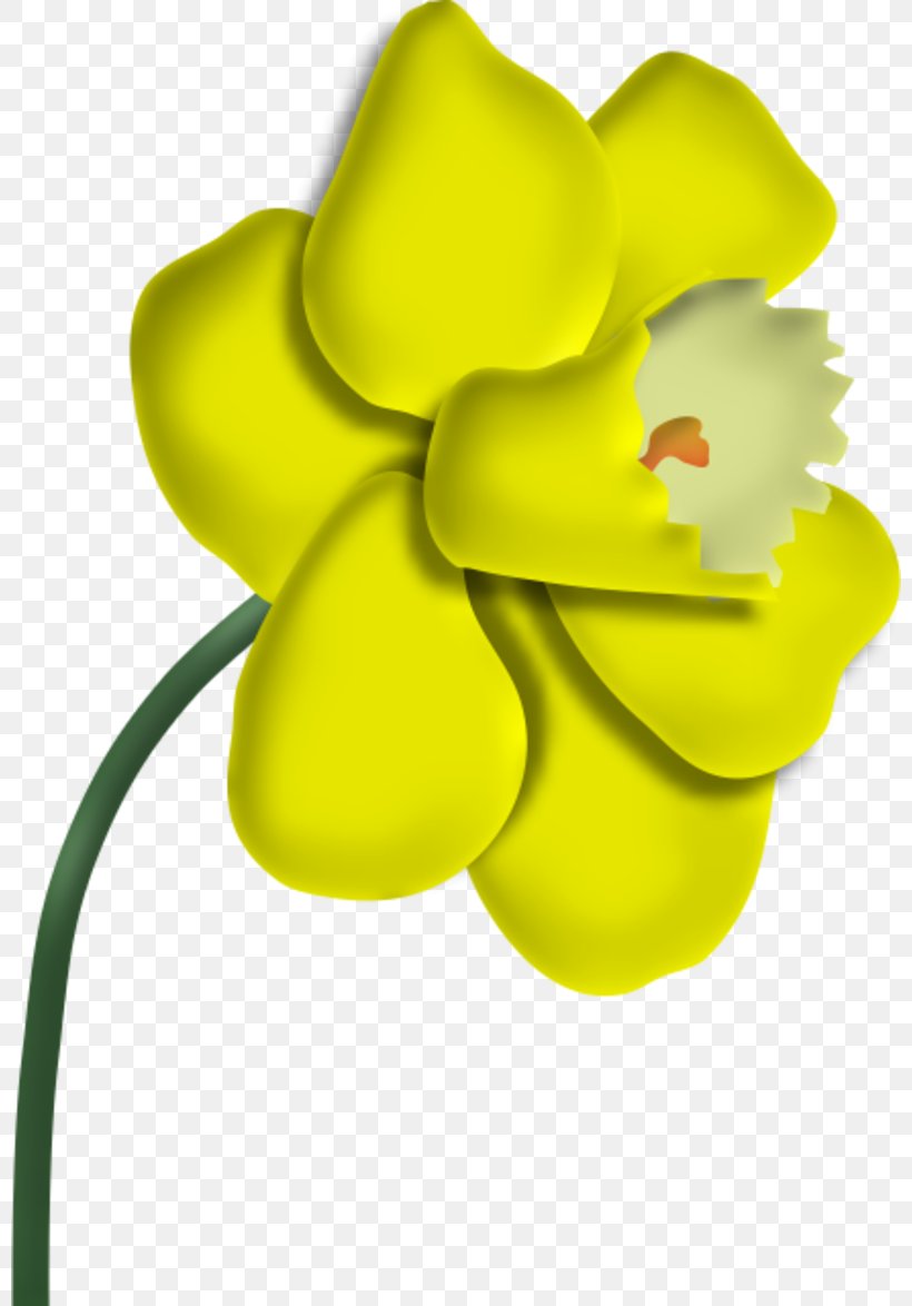 Flower Petal Painting Paper, PNG, 800x1174px, Flower, Blog, Blume, Cut Flowers, Flora Download Free