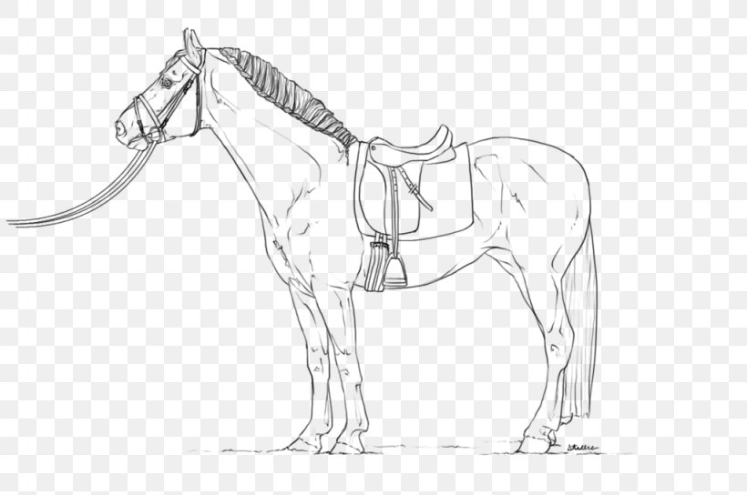 Horse Line Art Dressage Equestrian Drawing, PNG, 1024x680px, Horse, Animal Figure, Artwork, Bit, Black And White Download Free