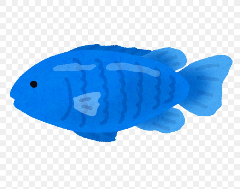 Threespot Dascyllus Whitetail Dascyllus Blue Devil Chromis Notata Fish, PNG, 800x646px, Blue Devil, Blue, Clownfish, Cobalt Blue, Electric Blue Download Free
