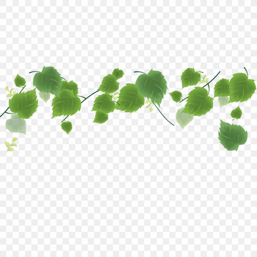 Vector Green Leaves, PNG, 1000x1000px, Leaf, Area, Designer, Grass, Green Download Free