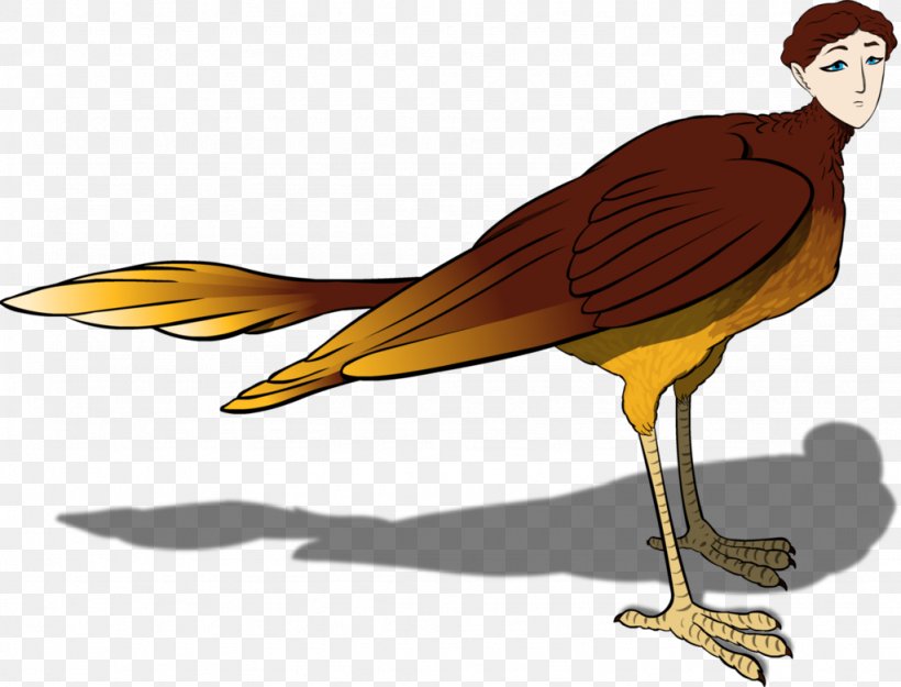Bird Of Prey Beak Water Bird Illustration, PNG, 1024x781px, Bird, Beak, Bird Of Prey, Cartoon, Chicken Download Free