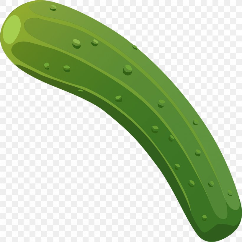 Cucumber Euclidean Vector, PNG, 1280x1278px, Cucumber, Cucumis, Grass, Green, Leaf Download Free