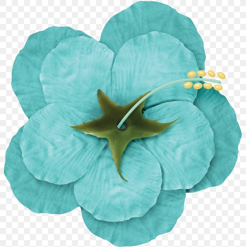 Flower Blue Drawing, PNG, 794x823px, Flower, Blue, Color, Drawing, Information Download Free