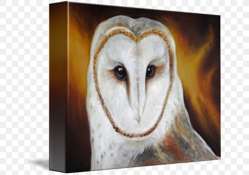 Owl Fauna Beak, PNG, 650x575px, Owl, Beak, Bird, Bird Of Prey, Fauna Download Free