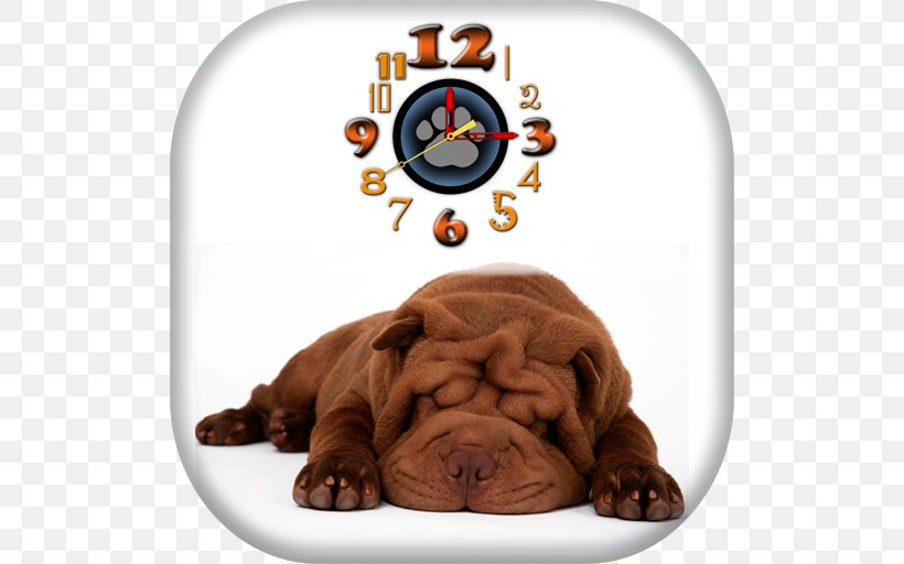 Shar Pei Puppy French Bulldog Pug, PNG, 512x512px, Shar Pei, Animal, Breed, Bulldog, Carnivoran Download Free