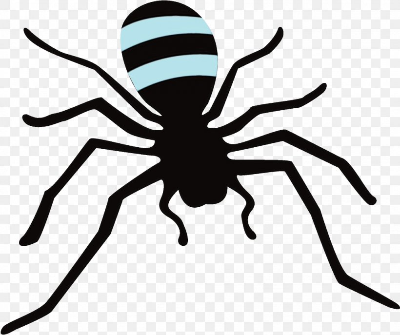 Spider Insect Black Line Arachnid, PNG, 1026x860px, Watercolor, Arachnid, Black, Head, Insect Download Free