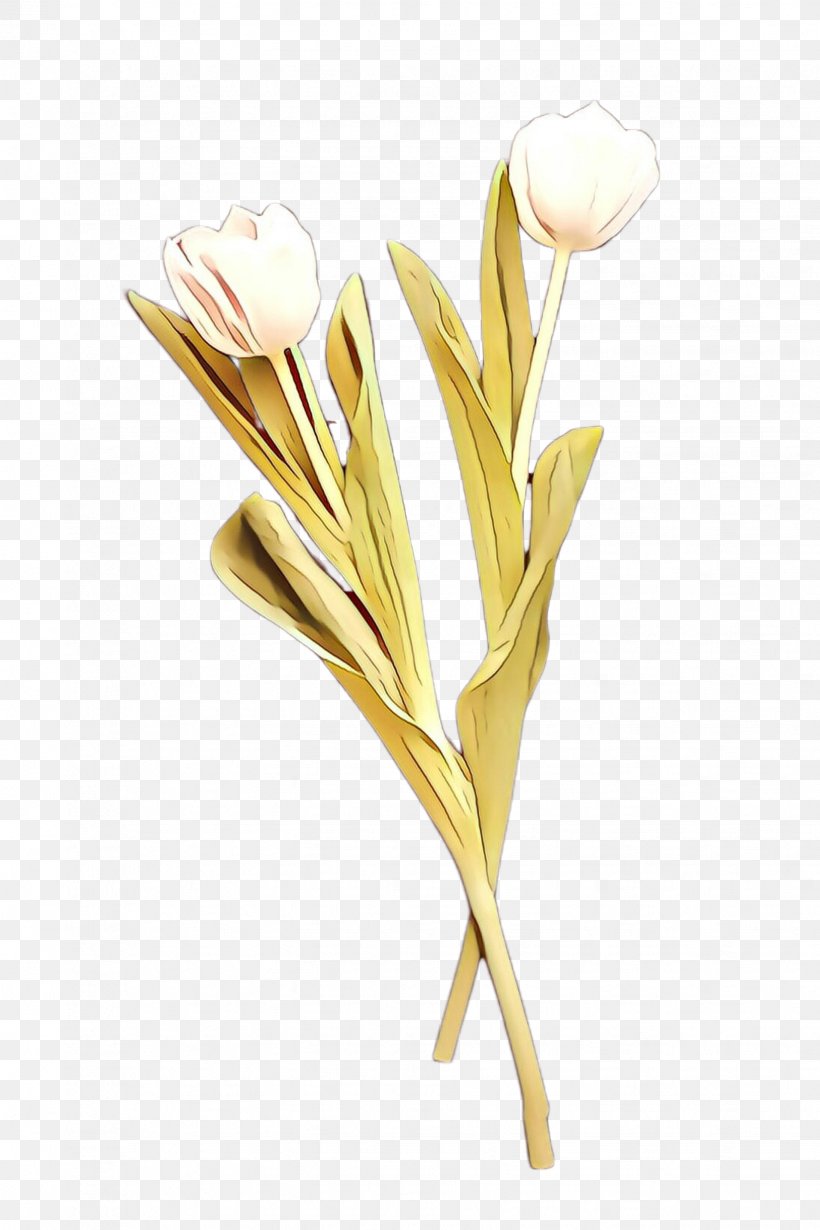 Flowers Background, PNG, 1632x2448px, Cartoon, Artificial Flower, Arum Family, Botany, Crocus Download Free