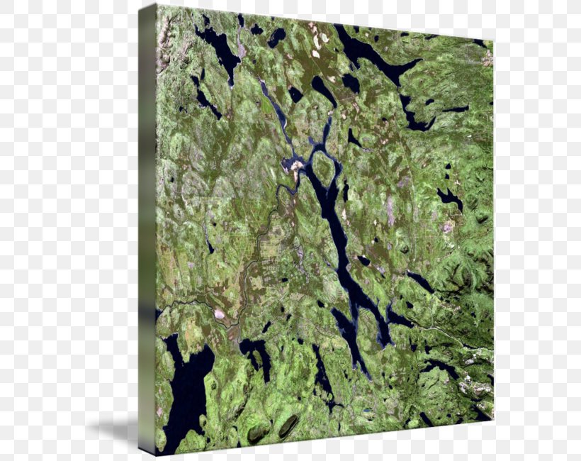 Moosehead Lake Gallery Wrap Rockwell-MBB X-31 Canvas Art, PNG, 591x650px, Gallery Wrap, Art, Branch, Branching, Canvas Download Free