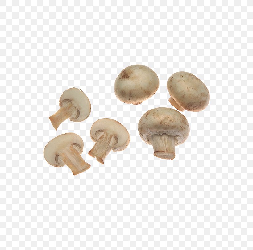 Mushroom, PNG, 670x810px, Mushroom, Agaricaceae, Agaricus, Fungus, Gilled Mushrooms Download Free