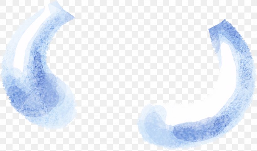 Organism Wallpaper, PNG, 1275x750px, Organism, Blue, Computer Download Free