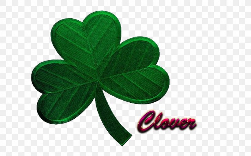 Shamrock Ireland Iron-on Embroidered Patch Clover, PNG, 1920x1200px, Shamrock, Clothes Iron, Clover, Emblem, Embroidered Patch Download Free