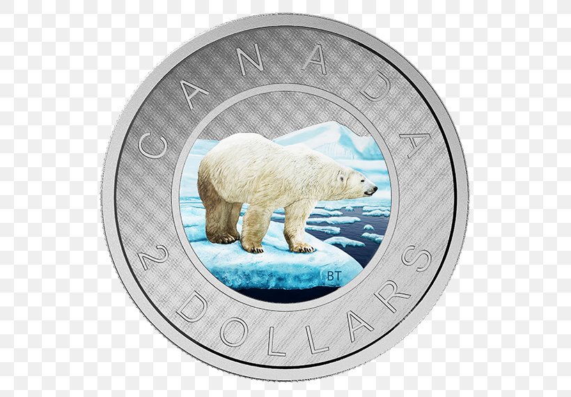 Canada Silver Coin Toonie, PNG, 570x570px, Canada, Bear, Canadian Dollar, Canadian Gold Maple Leaf, Canadian Silver Maple Leaf Download Free