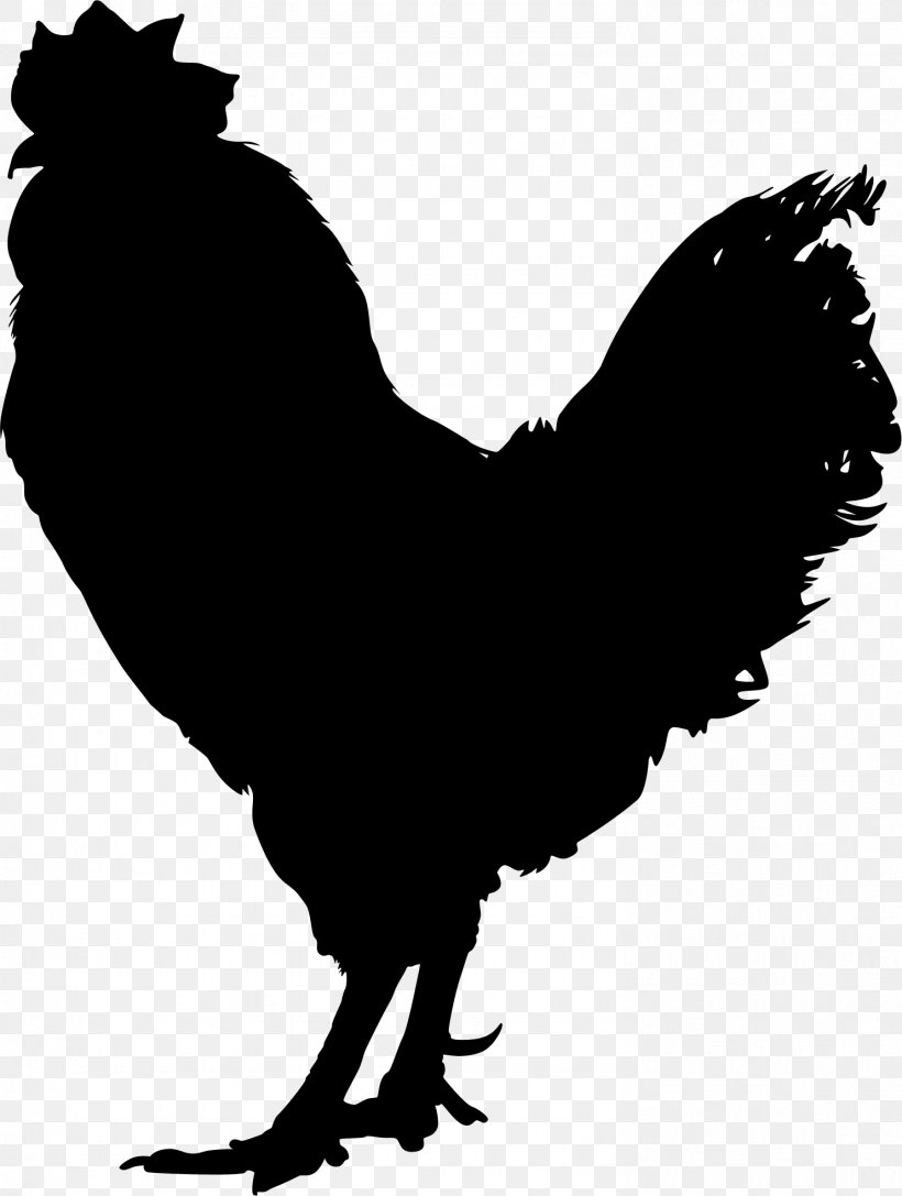 Chicken Vector Graphics Rooster Illustration Royalty-free, PNG, 1483x1967px, Chicken, Art, Beak, Bird, Blackandwhite Download Free