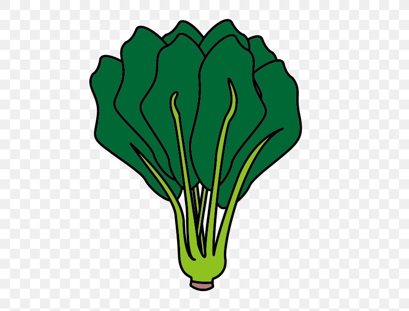 Leaf Parsley Green Produce Vegetable, PNG, 624x625px, Leaf, Botany, Flower, Flowering Plant, Food Download Free