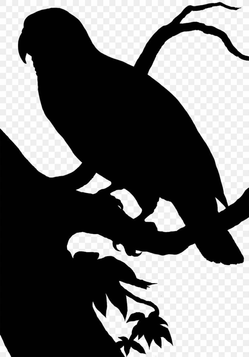 Beak Clip Art Fauna Silhouette Black M, PNG, 1255x1800px, Beak, Bird, Black M, Blackandwhite, California Sea Lion Download Free