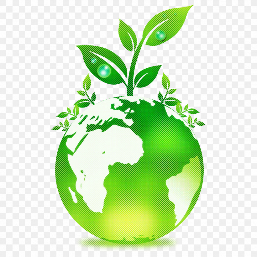 Green Leaf Plant Tree World, PNG, 2022x2022px, Green, Leaf, Plant, Tree, World Download Free