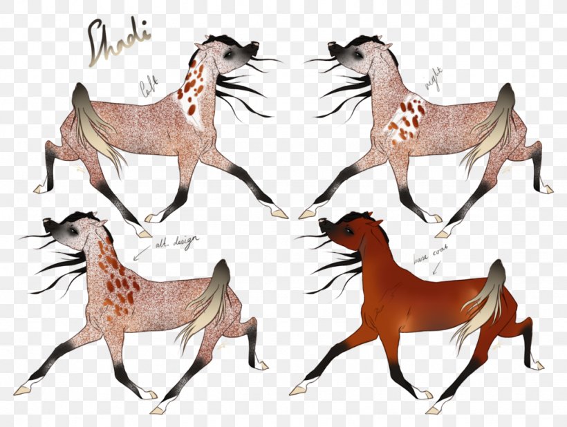 Mustang Deer Freikörperkultur Wildlife Horse, PNG, 1024x772px, 2019 ...