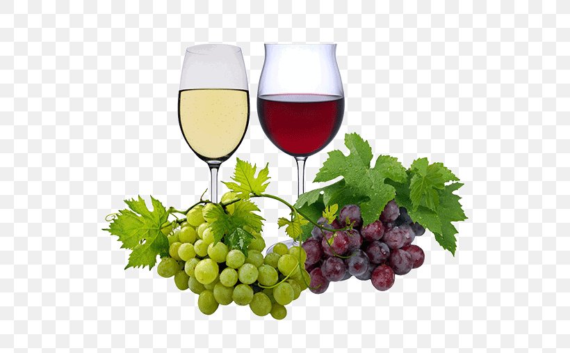 Red Wine White Wine Rosé Merlot, PNG, 600x507px, Wine, Bottle, Champagne Stemware, Drink, Drinkware Download Free
