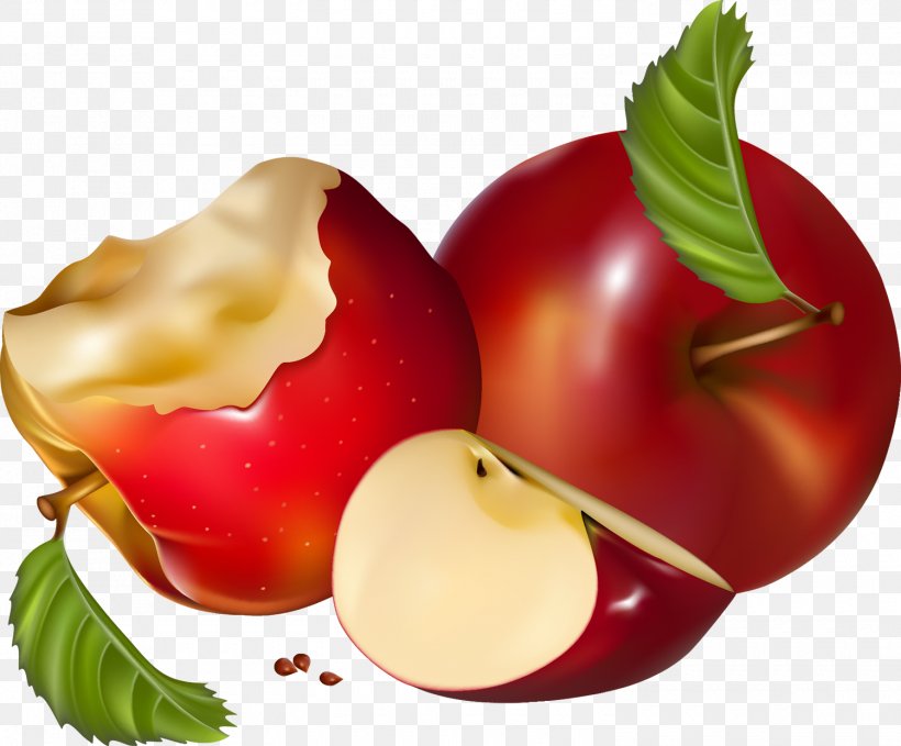 Apple Natural Foods, PNG, 1500x1243px, Apple, Diet, Diet Food, Food, Fruit Download Free