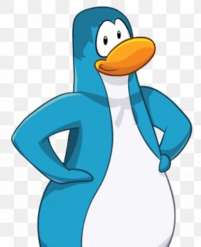 Bird Cartoon png download - 2220*2106 - Free Transparent Club Penguin png  Download. - CleanPNG / KissPNG