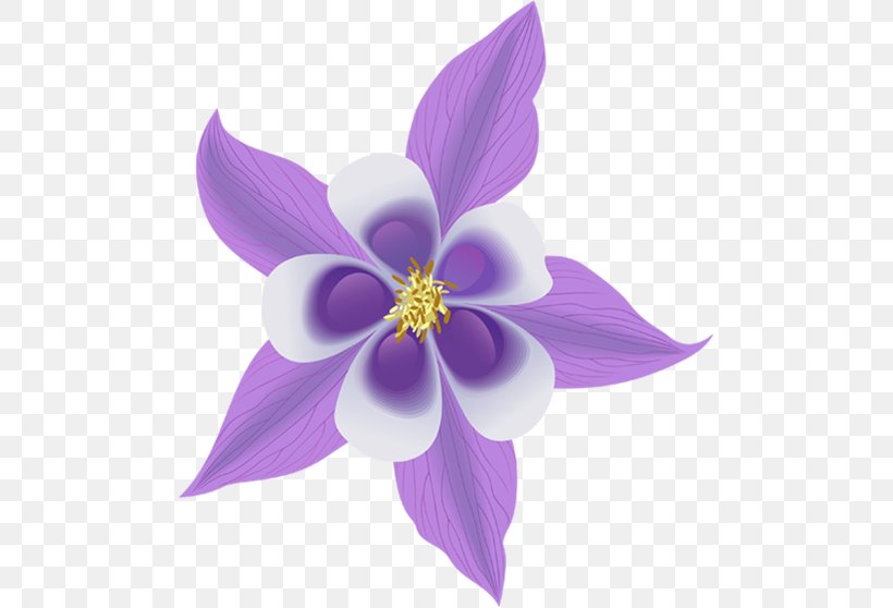 Colorado Blue Columbine Common Columbine Clip Art, PNG, 493x558px, Columbine, Colorado Blue Columbine, Drawing, Flower, Flowering Plant Download Free