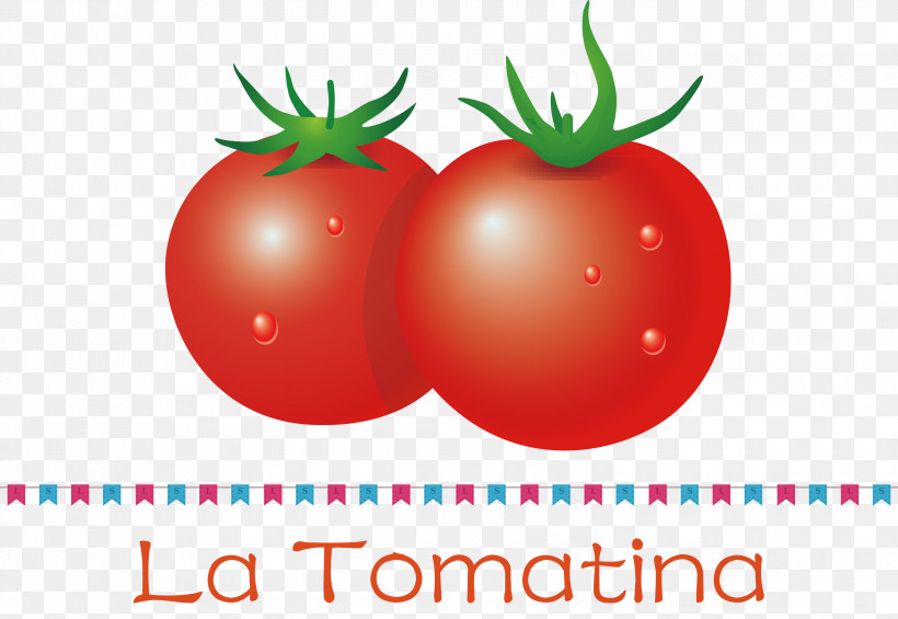 La Tomatina Tomato Throwing Festival, PNG, 3000x2069px, La Tomatina, Apple, Bush Tomato, Datterino Tomato, Local Food Download Free