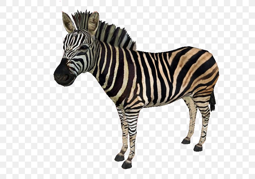 Zoo Tycoon 2: Extinct Animals Quagga Horses Chapman's Zebra, PNG, 672x576px, Zoo Tycoon 2 Extinct Animals, Animal Figure, Art, Doodle, Drawing Download Free