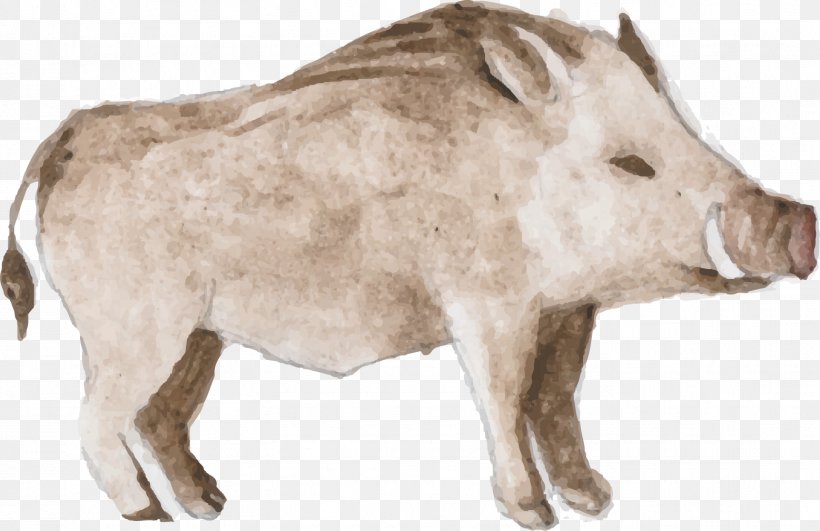 Animal Watercolor Painting, PNG, 1557x1009px, Animal, Cattle Like Mammal, Domestic Pig, Drawing, Fauna Download Free