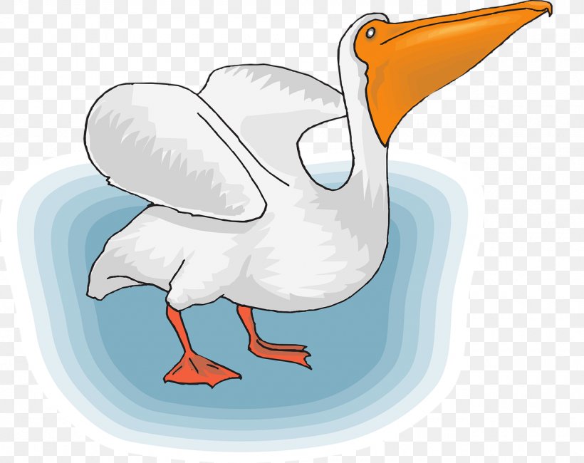 Seabird Pelican Clip Art, PNG, 1280x1015px, Bird, Beak, Cartoon, Chicken, Duck Download Free