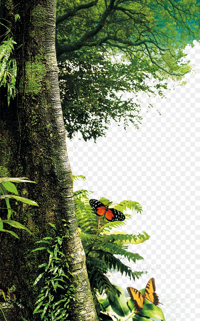 hår Burger amatør Tree Nature Landscape Painting Leaf, PNG, 1000x1600px, Tree, Biome, Bird,  Branch, Ecosystem Download Free