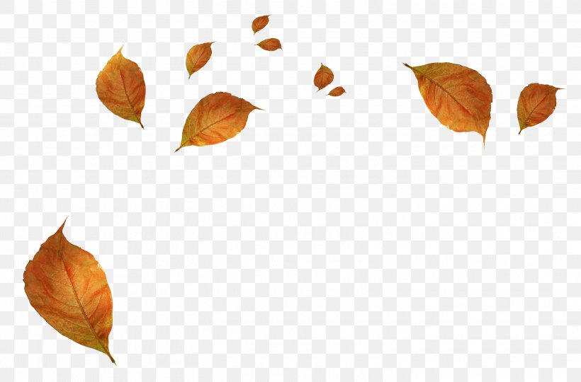 Autumn Leaf Color Autumn Leaf Color Clip Art, PNG, 2898x1909px, Autumn, Autumn Leaf Color, Branch, Deciduous, Dots Per Inch Download Free