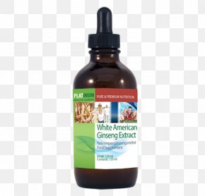 American Ginseng - Dietary Supplement Castor Oil Periorbital Dark Circles Herb PNG
