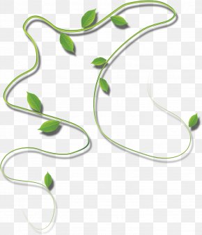 Vine Man - Rattan Cartoon PNG