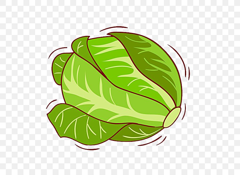 White Cabbage Kale Illustration, PNG, 600x600px, White Cabbage, Brassica Oleracea, Cabbage, Food, Fruit Download Free