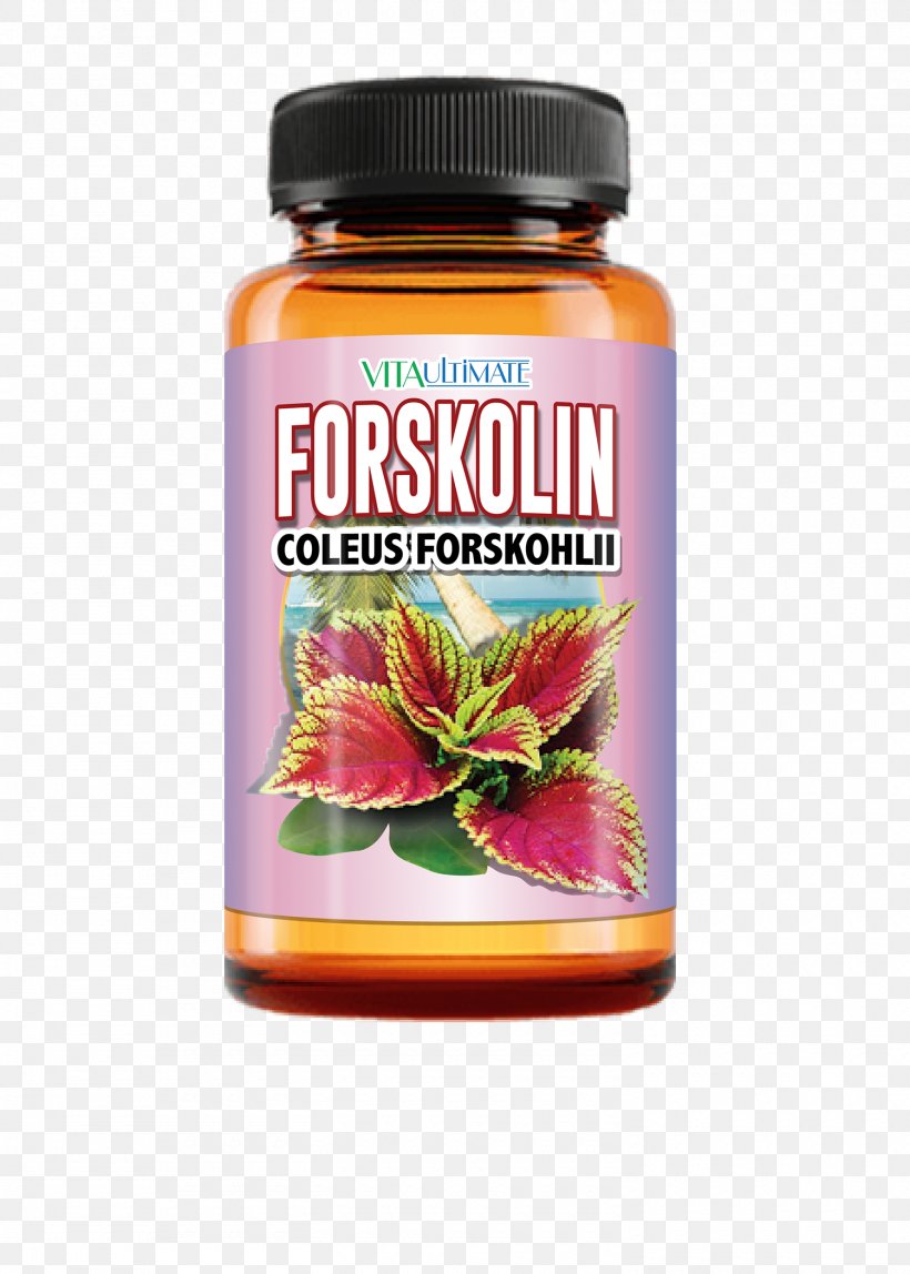 Dietary Supplement Forskolin Weight Loss Plectranthus Barbatus Capsule, PNG, 1500x2100px, Dietary Supplement, Abdominal Obesity, Adipose Tissue, Anorectic, Capsule Download Free